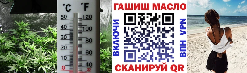 ТГК концентрат  Купить  Агрыз 