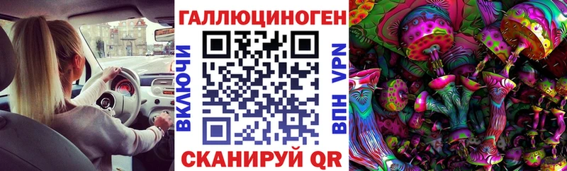 Псилоцибиновые грибы Psilocybe  Купить где  Агрыз 